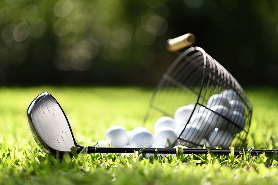 Local Courses & Driving Ranges